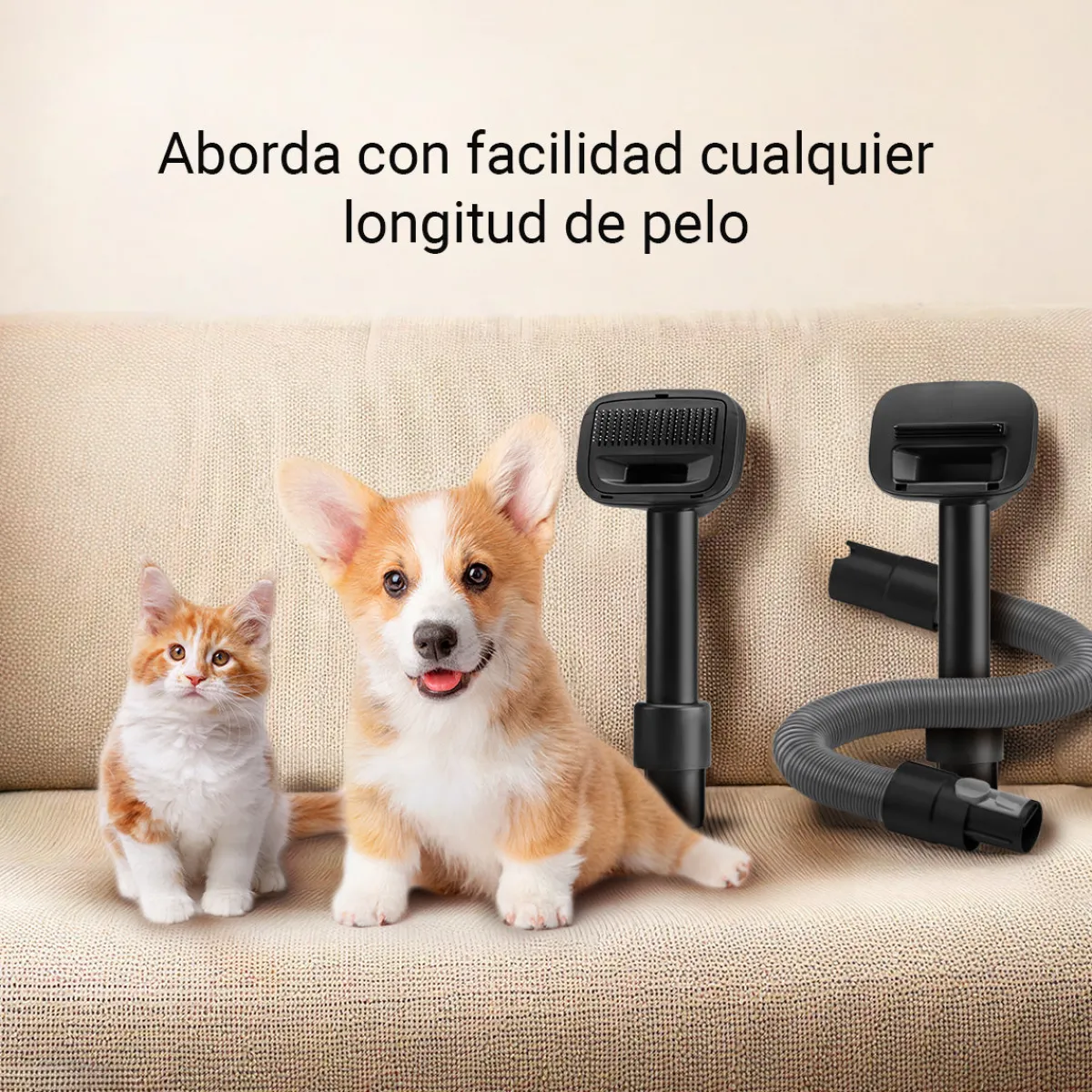 Ufesa Accesorios de aspiración Teddy Pet