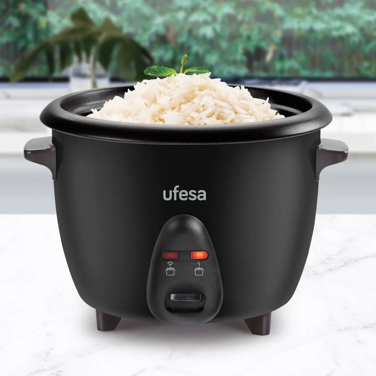 Ufesa Arrocera Jasmin AR4010 de 1L
