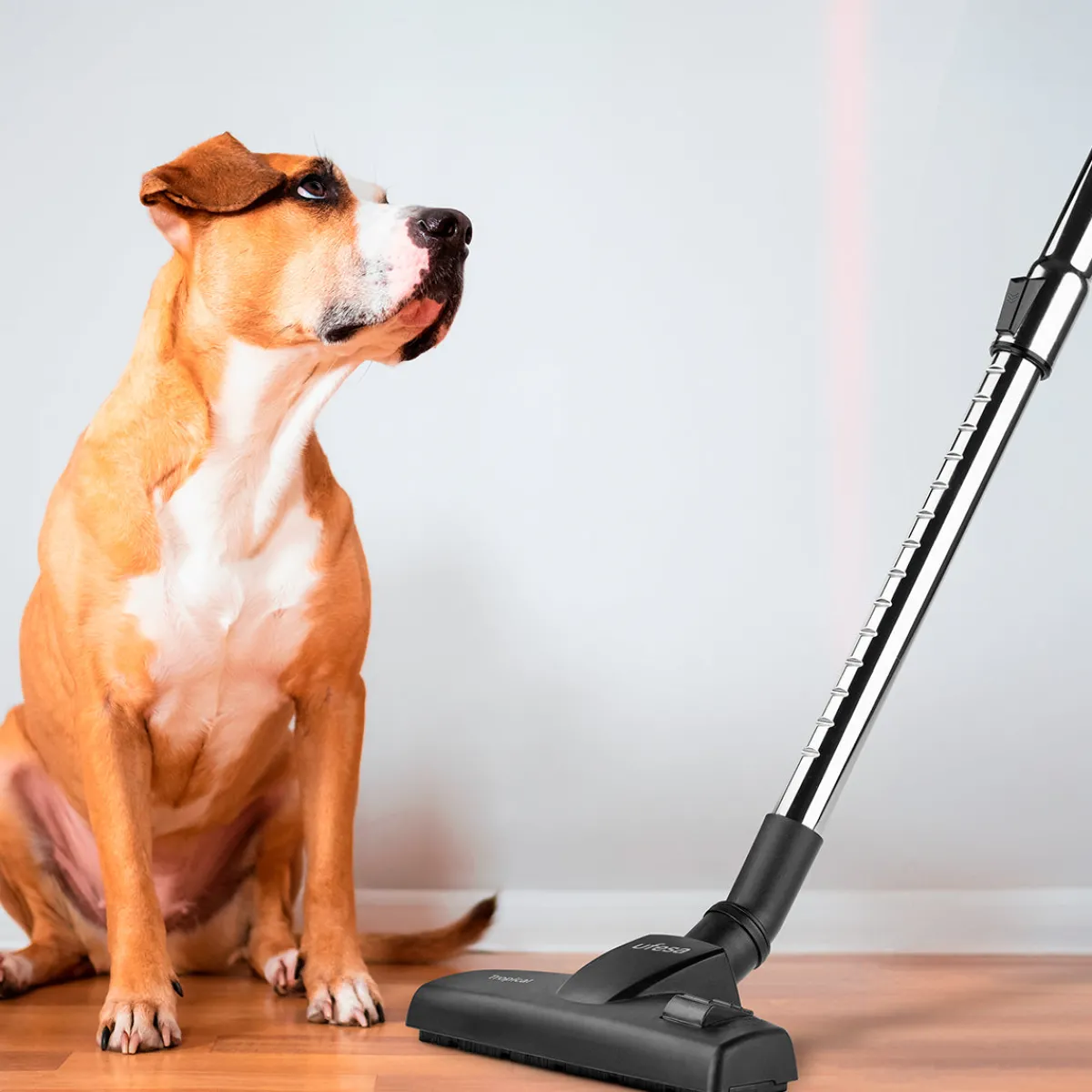 Ufesa Aspirador escoba con cable Tropical 600W