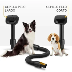 Ufesa Aspirador escoba Sahara Petcare